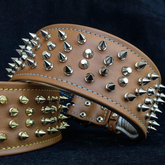 The "Crown" collar Collars