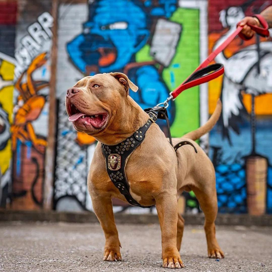 BESTIA DOG SPORT dual handle leash Red - Bestia Collars