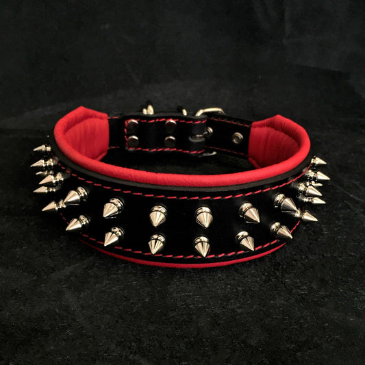 "Frenchie" collar Collars