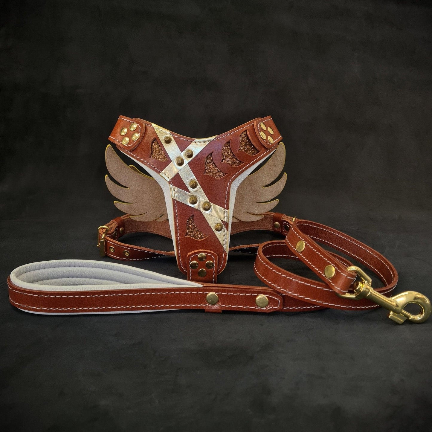 Hermes Set – Hundegeschirr & Leine