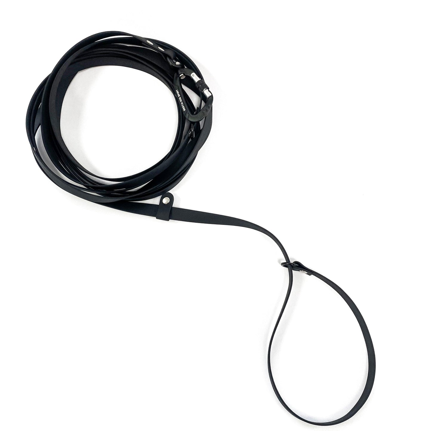 Long black leash for dog training