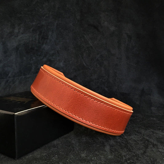 "Stylish" 2 inch wide dog collar Collars