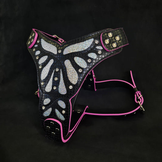 The ''Ariel'' harness Harnesses