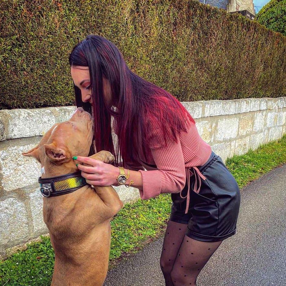 The ''D'Albertis'' collar Collars