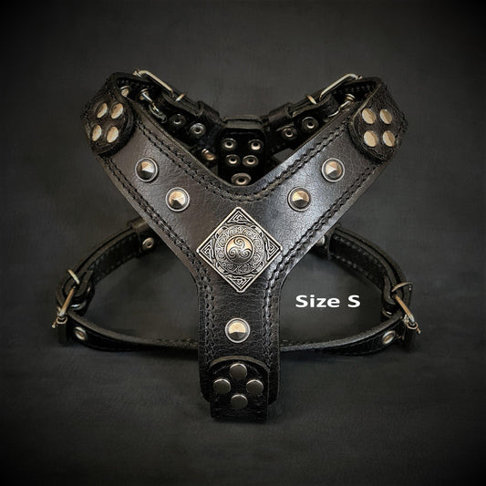 The ''Eros'' harness black Medium Size Harnesses