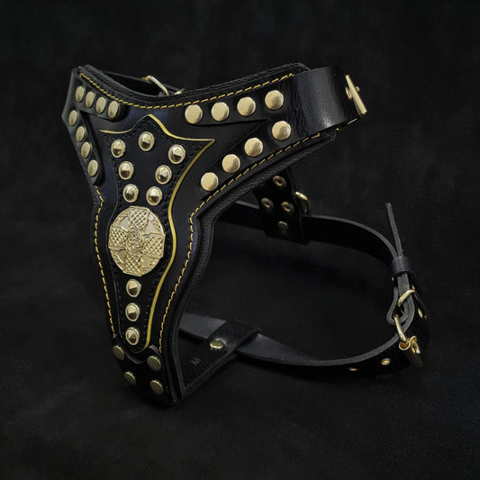 The ''Maximus'' harness V2 Medium Size Harnesses