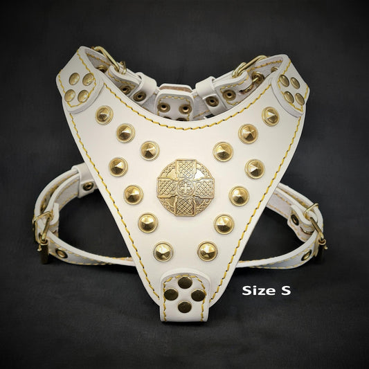 The ''Maximus'' harness White & Gold Small to Medium Size Harnesses