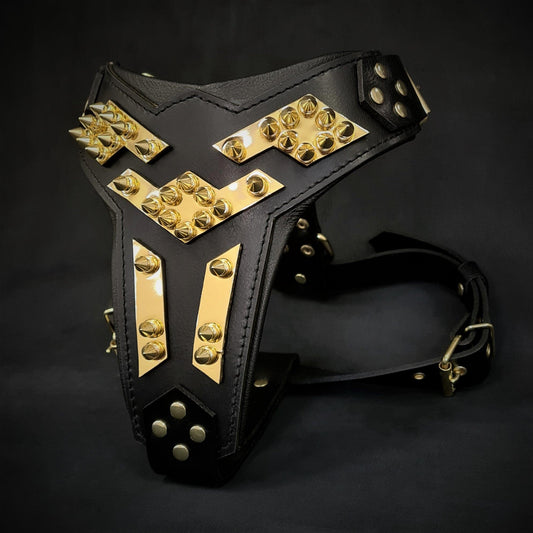 The „Midas“ leather dog harness gold Harnesses