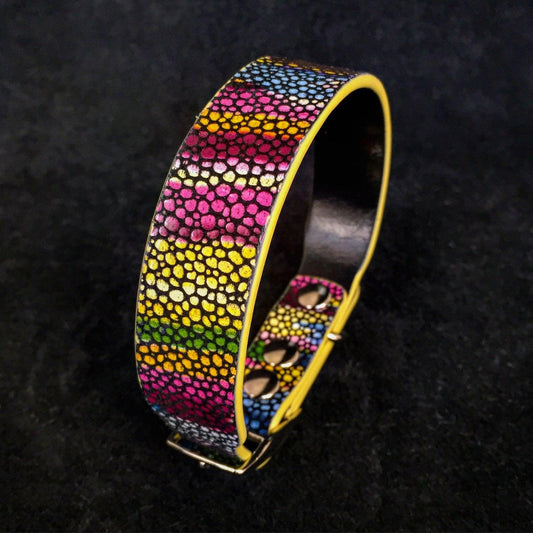 The „Moby“ puppy collar Collars