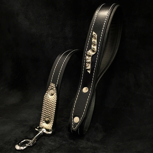 The „Platinum“ leash Leads & Head Collars