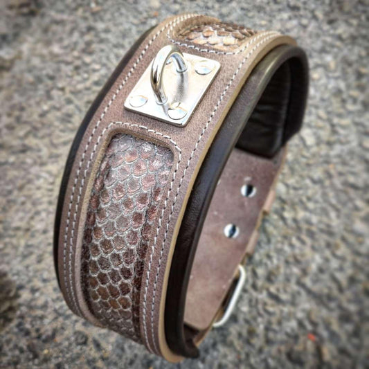 The ''Python'' exclusive design Collars