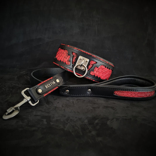 The ''Red Dragon'' leash Leads & Head Collars