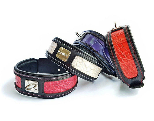 The "Reptile" collar Collars