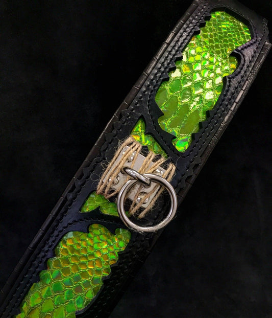 The „Venom“ collar Collars