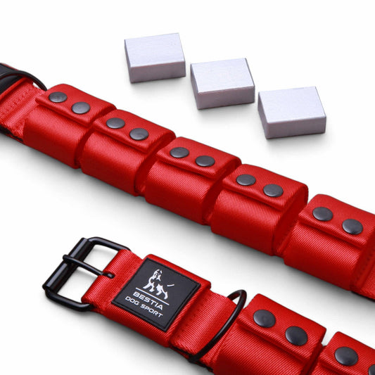 Weighted dog training collar- Red. Large breeds. 5 lbs total. removable weights - Bestia Collars