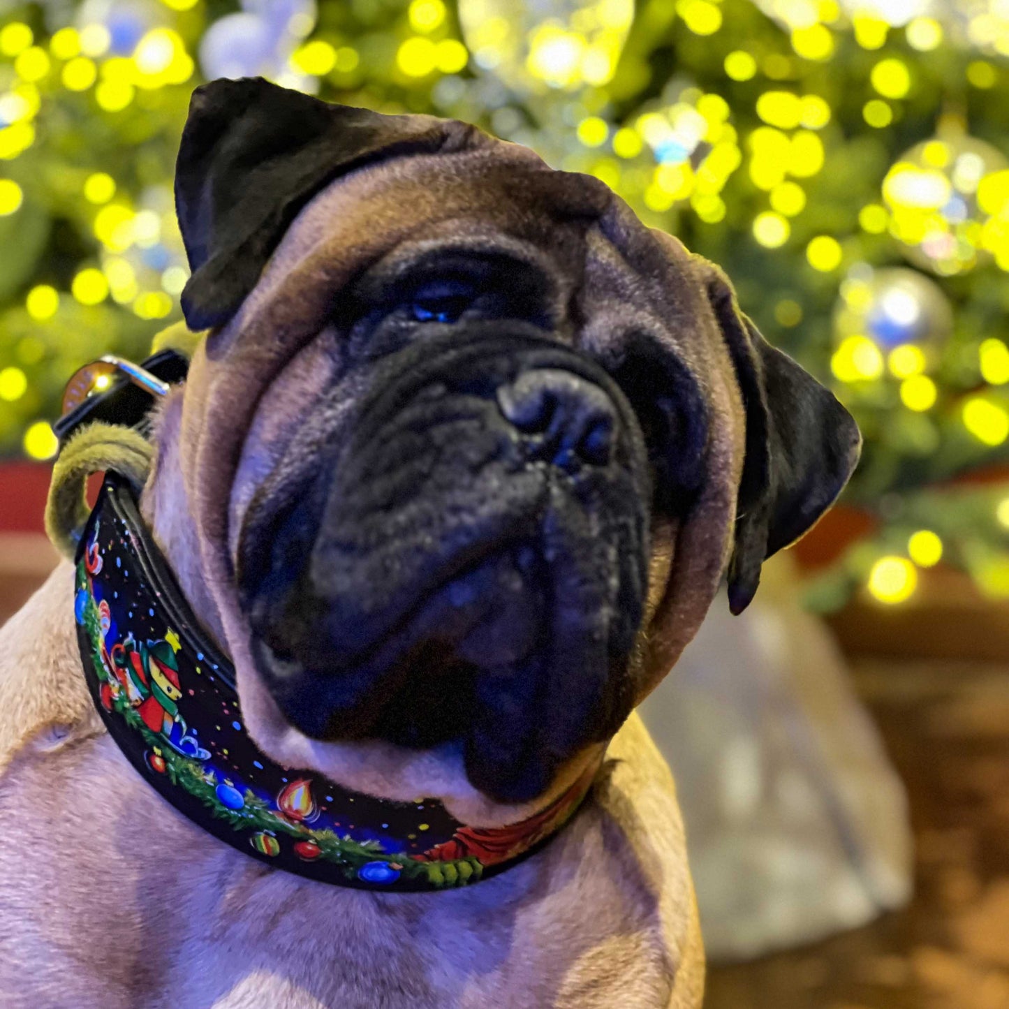 The Grinchmas Limited Collar