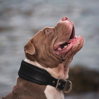 Plain "Style" Halsband black