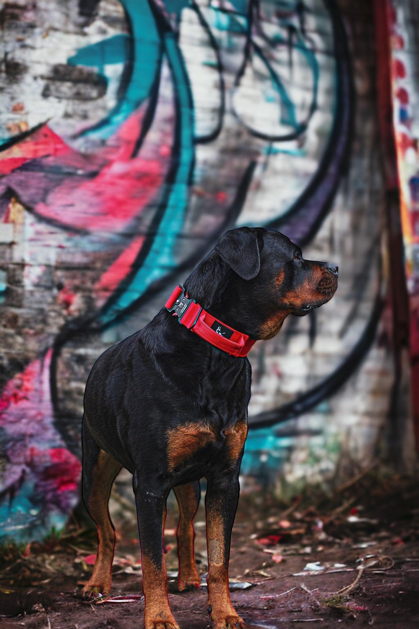 Bestia Dog Sport GripPro Handle Halsband