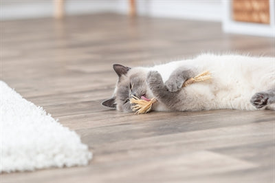 Trixie-Matatabi-Stock Mit Fransen