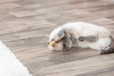 Trixie-Matatabi-Stock Mit Fransen