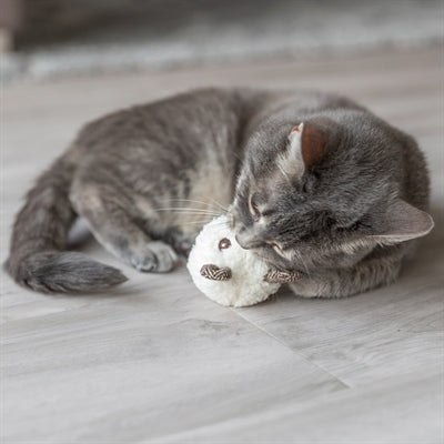 Trixie Bär Mit Katzenminze Plüsch Assortiert