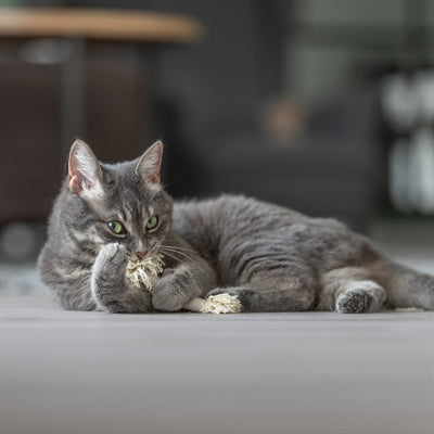 Trixie Spielseil Mit Fransen Sortiert