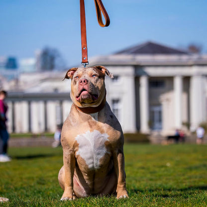 Plain "Style" Halsband brown
