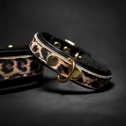 Leopard Puppy Halsband