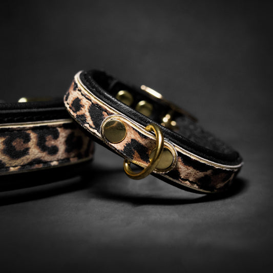 Leopard Puppy Halsband