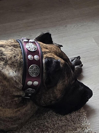 Halsband „Hektor“ – Burgundy Hundehalsband LIMITED Edition