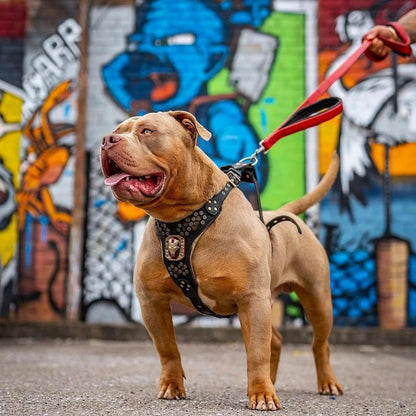 BESTIA DOG SPORT dual handle leash Red - Bestia Collars