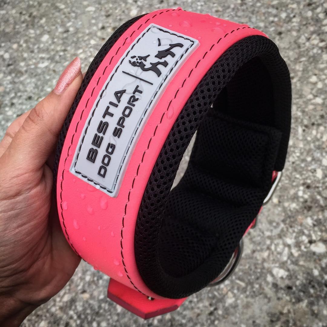 BESTIA DOG SPORT COLLAR NEON PINK Training gear