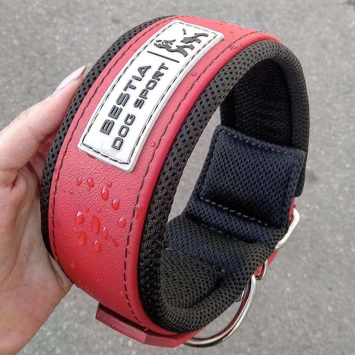 BESTIA DOG SPORT COLLAR RED Training gear