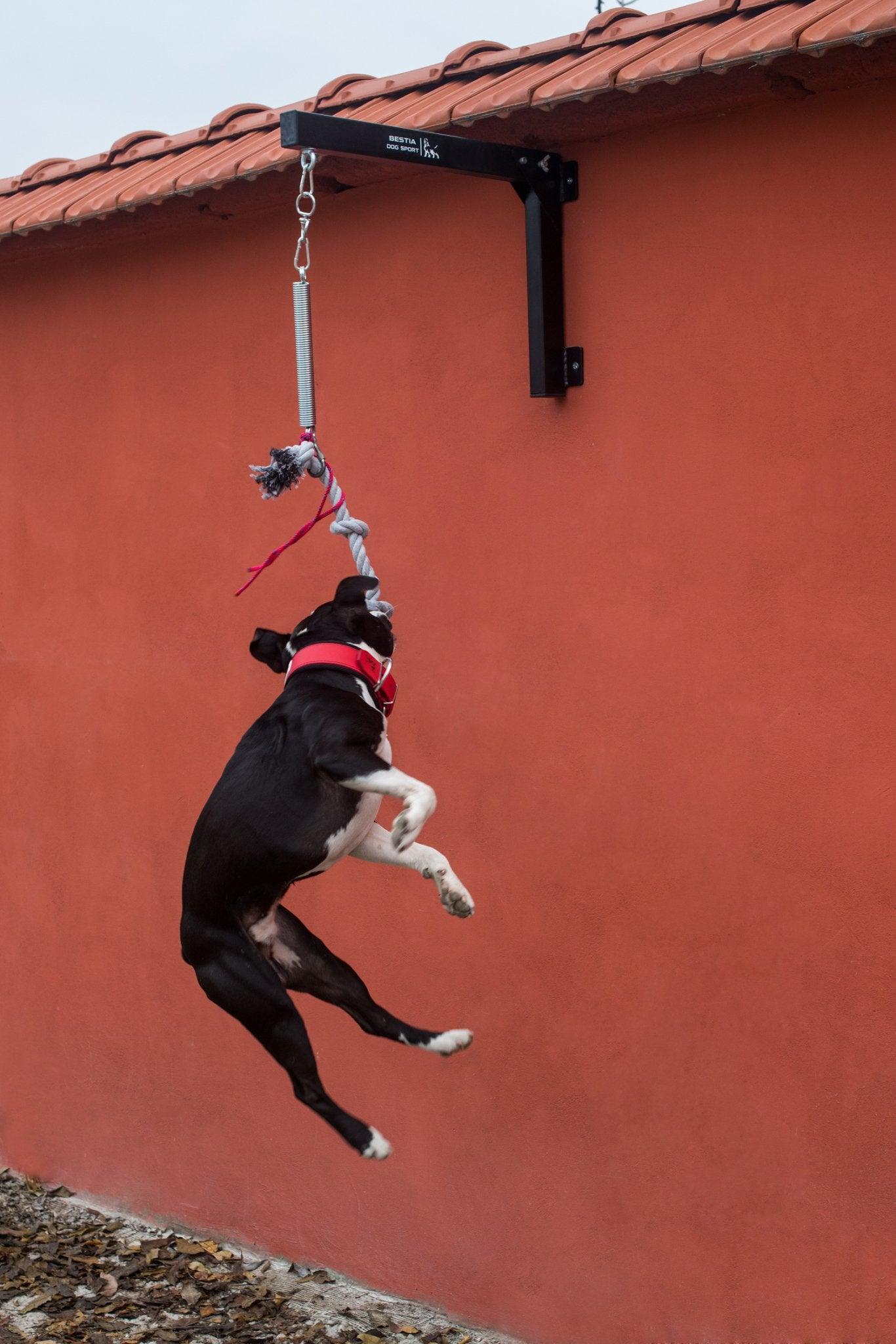 BESTIA Spring Pole Training gear