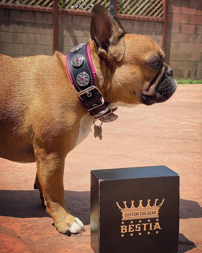 "Bijou" collar black & pink Collars