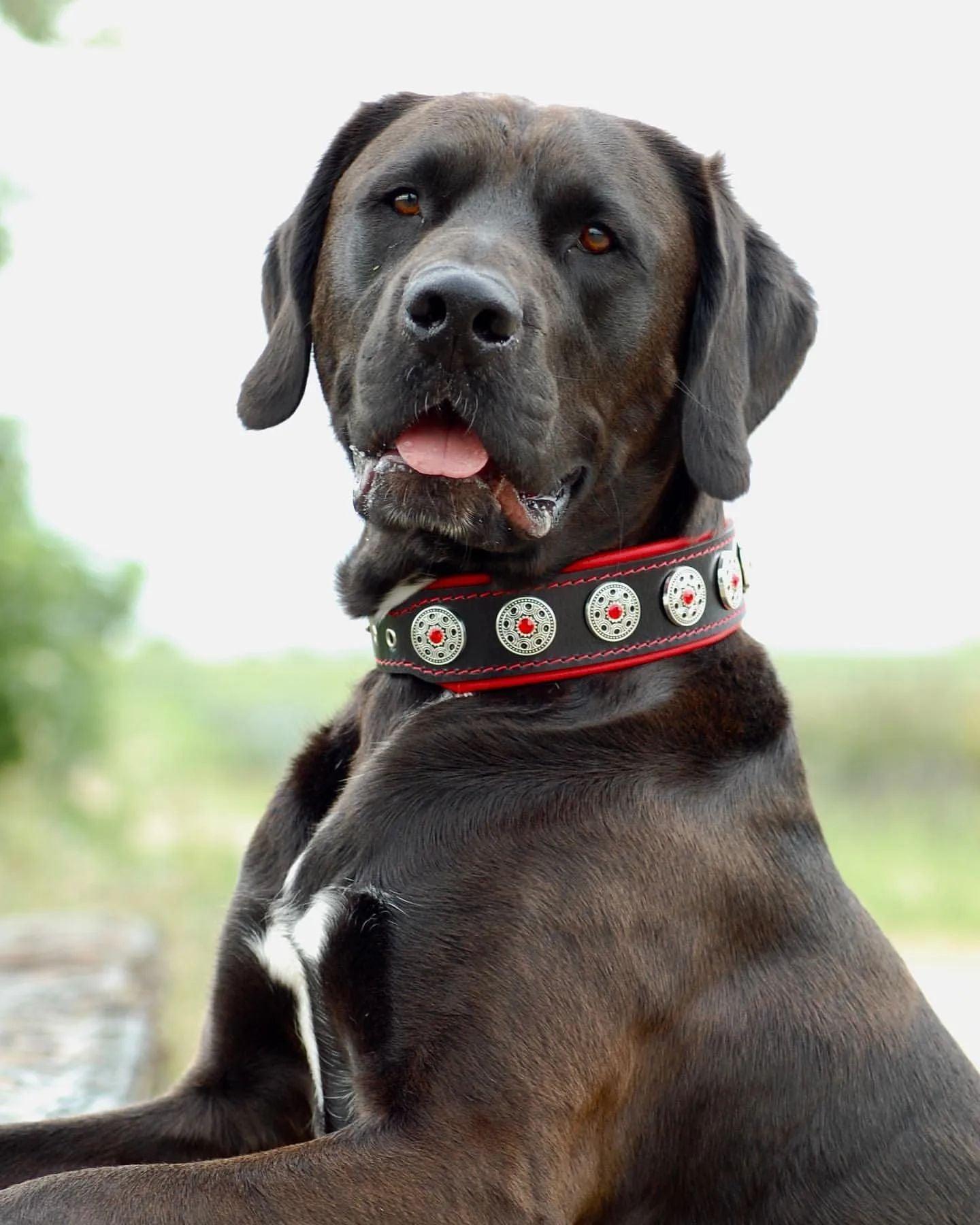 „Bijou“ collar black & red Collars