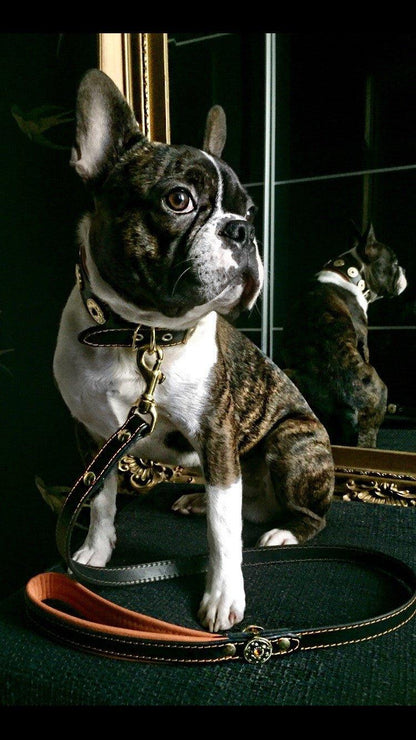 ''Bijou'' leather lead orange Leads & Head Collars