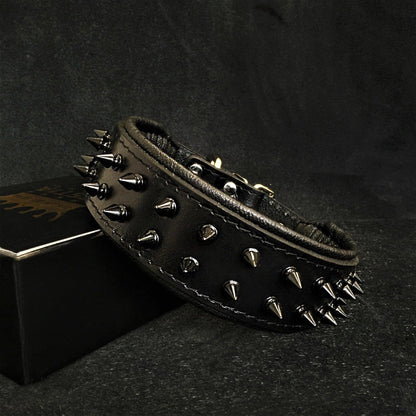 BLACK "Frenchie" collar Collars