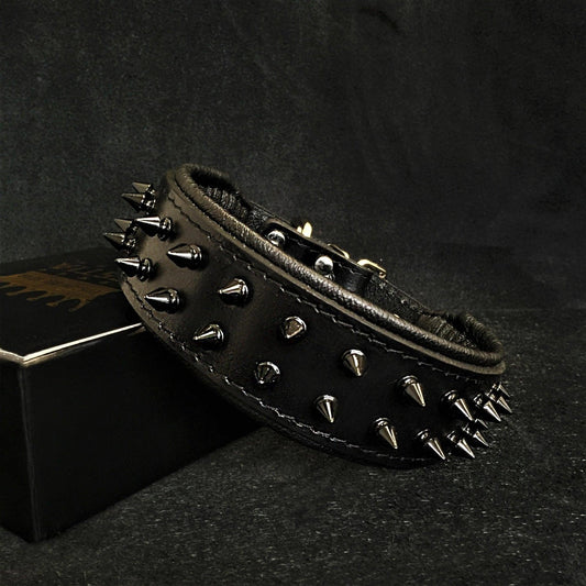 BLACK "Frenchie" collar Collars