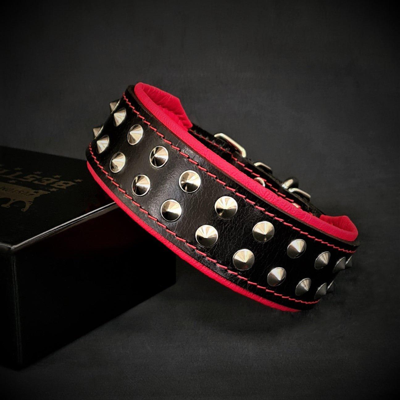 "Boston" collar Collars