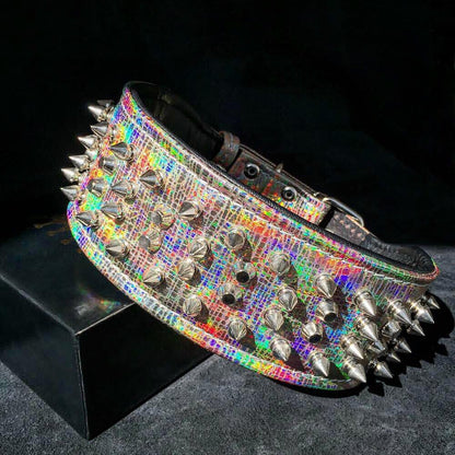 ''Chameleon'' LIMITED big dog collar Collars