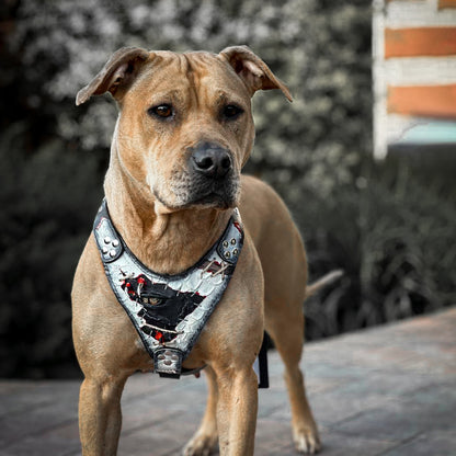 The “Dragon's Eye” Harness LIMITED! - Bestia Collars