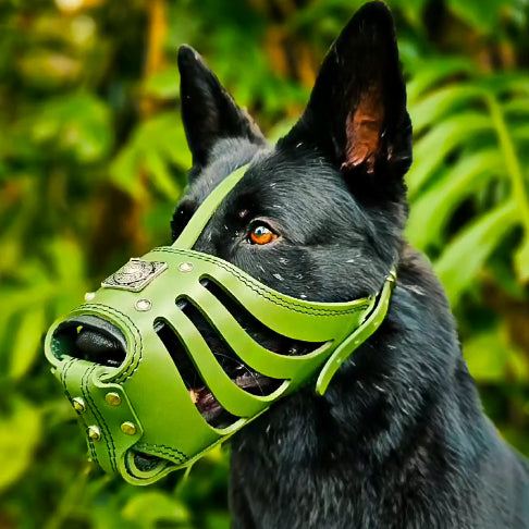 ''Eros'' Basket Muzzle GREEN - Bestia Collars