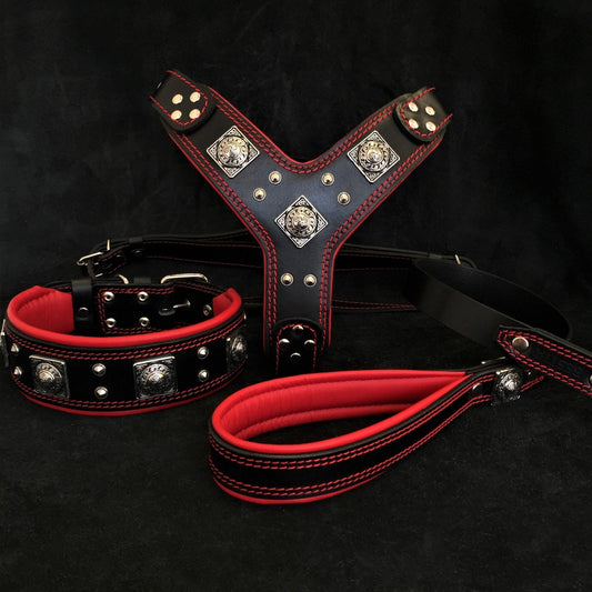 "EROS" BIG dog SET- Harness - collar - lead. Black & Red Leads & Head Collars