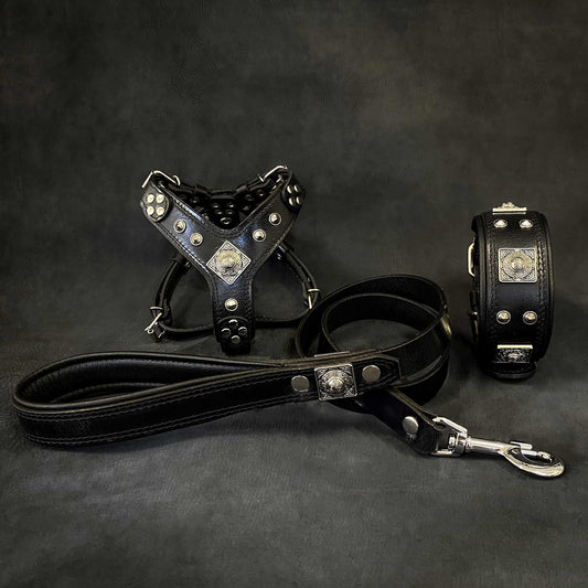 "EROS" Small to Medium dog SET – Geschirr – Halsband – Leine. All Schwarz