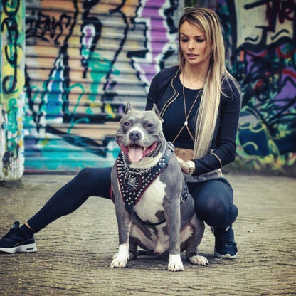 Handstitched "David" harness Harnesses