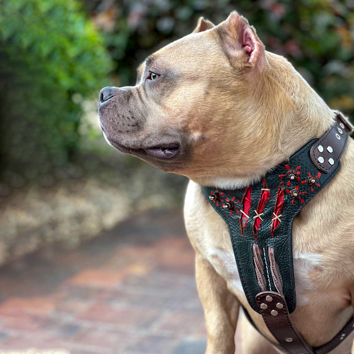 The ''Haunted'' harness LIMITED - Bestia Collars