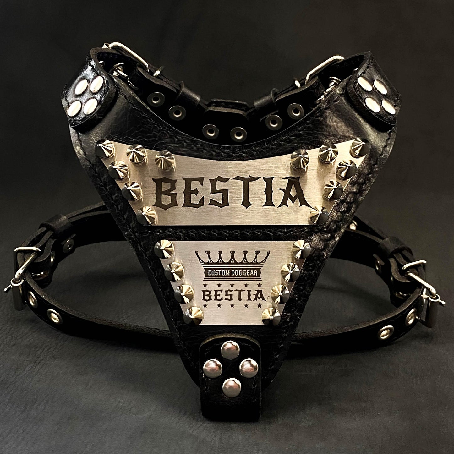 The "Metal" Geschirr small to medium size – Personalized