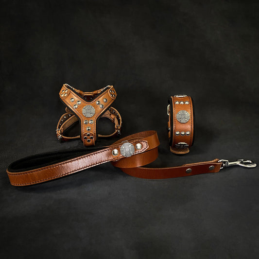 "Maximus Braun&Silber" Small dog SET – Geschirr – Halsband – Leine