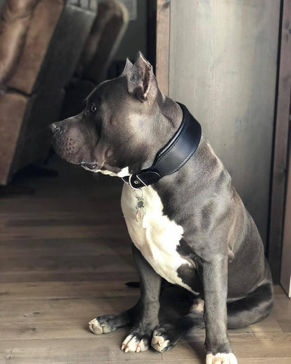 Plain "Style" collar black Collars